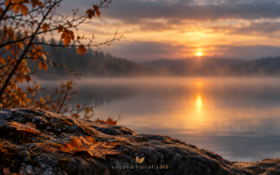 Autumn maple leaf on a rocky lakeshore at sunrise with mist and golden reflection, Emotions We Can’t Explain header image